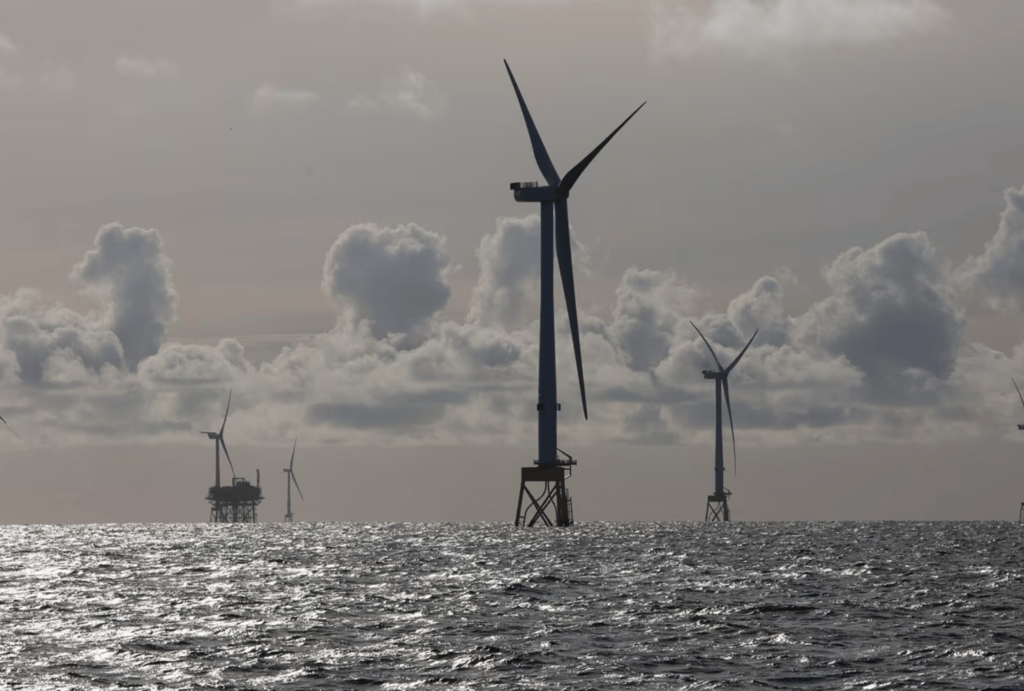 1174c338-11a8-491c-81a0-17d523b11197