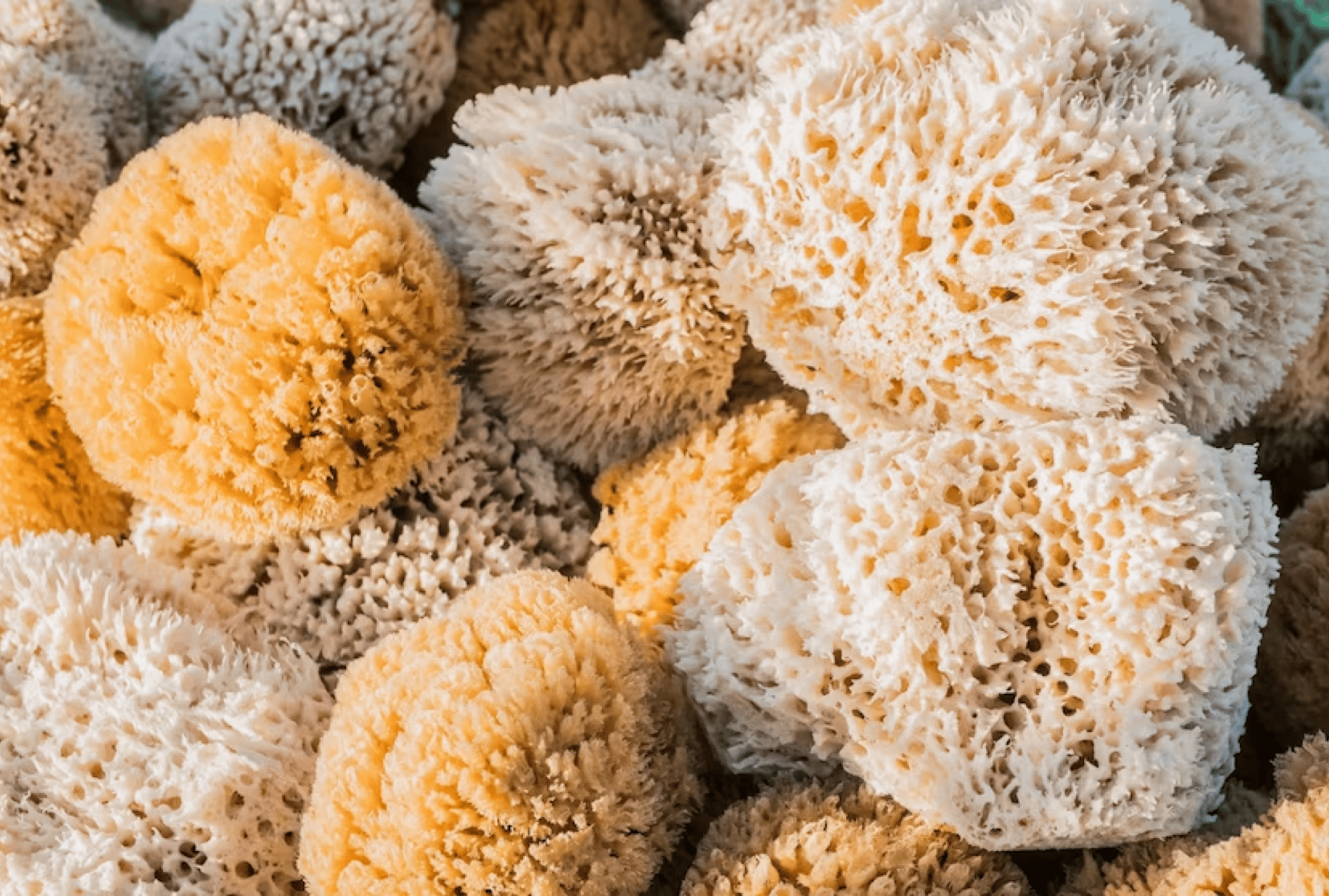 2258d721-0fb2-4e40-a258-5cbe39e7cb0a 2258d721-0fb2-4e40-a258-5cbe39e7cb0a