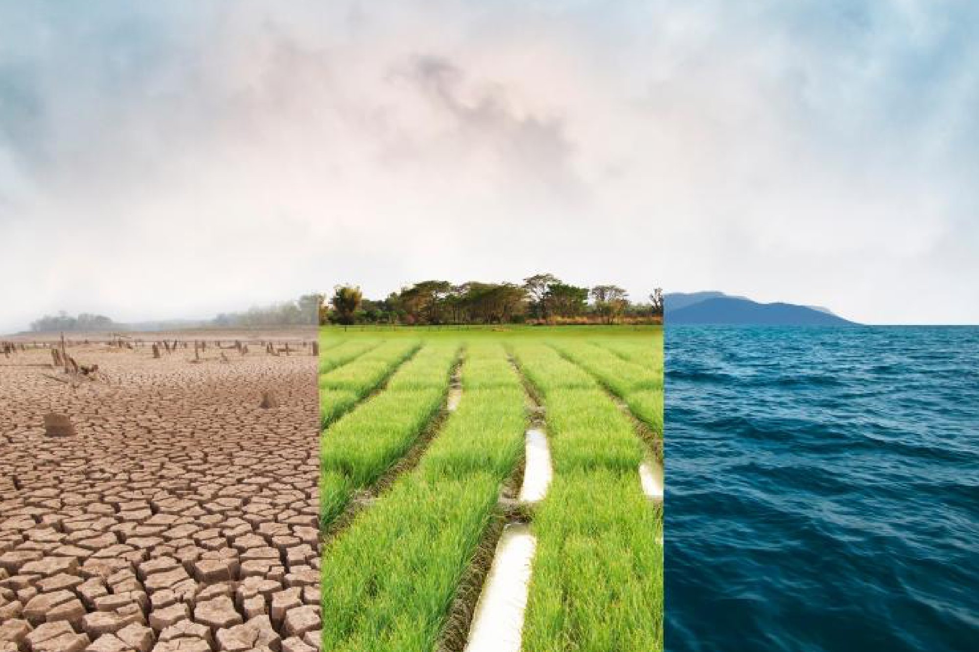 24d868a0-55e1-4e77-b560-a097aeef6649 24d868a0-55e1-4e77-b560-a097aeef6649