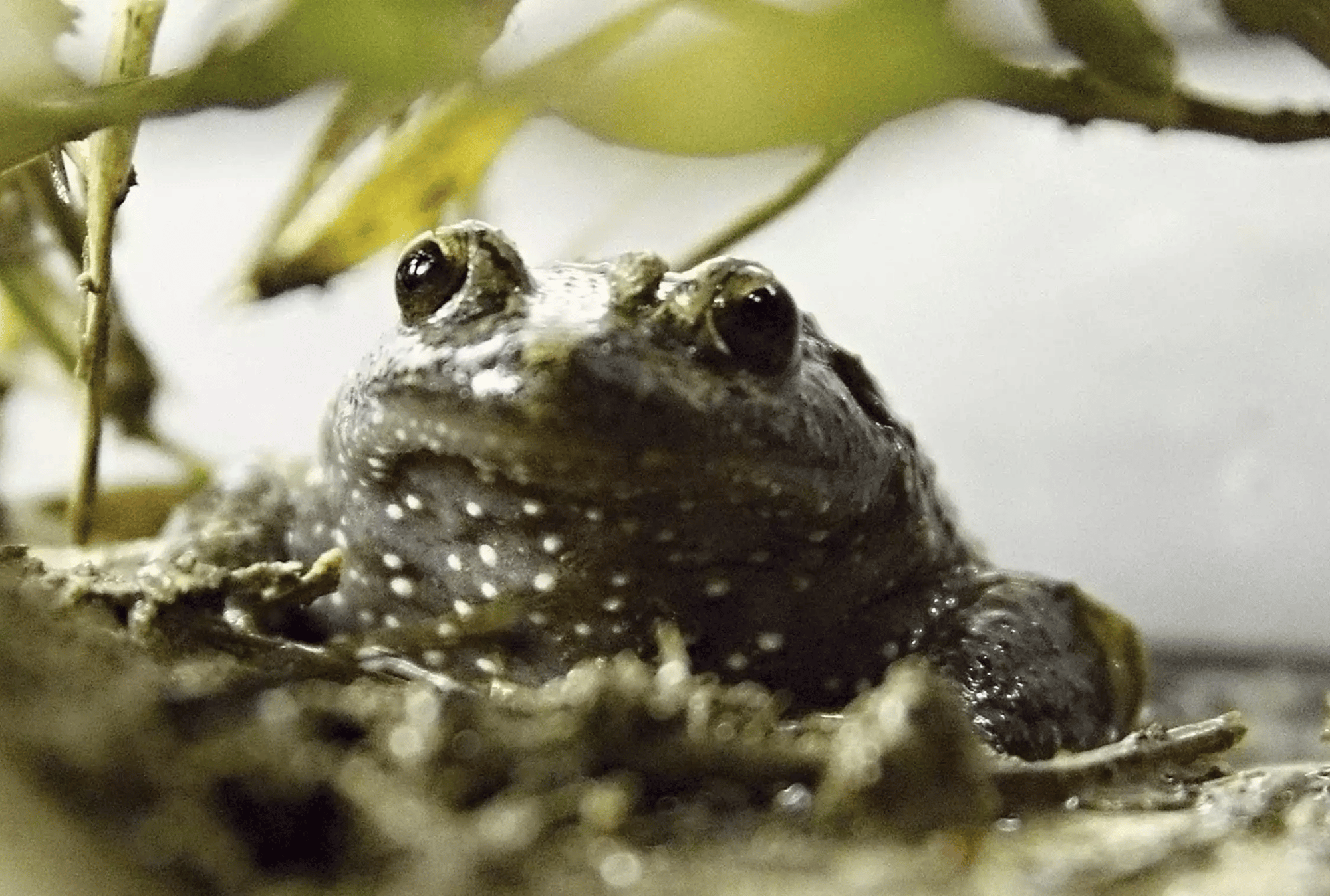 39d09642-80ee-44f0-a680-70701514c39a 39d09642-80ee-44f0-a680-70701514c39a