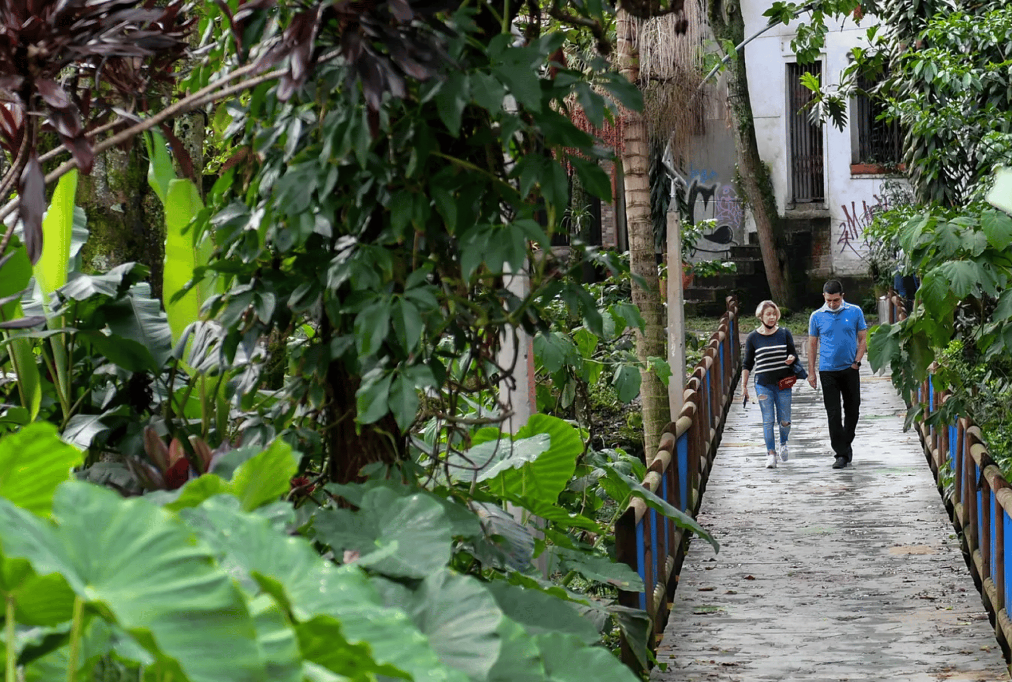 5658404c-1868-4eb0-95cd-a5cc415e19b1 5658404c-1868-4eb0-95cd-a5cc415e19b1