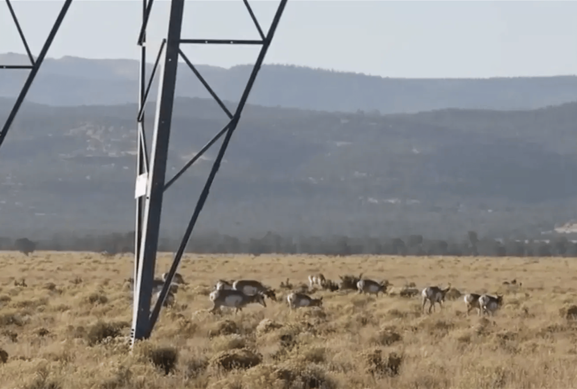 6021f092-cd36-4e24-8ed4-d7d076951890 6021f092-cd36-4e24-8ed4-d7d076951890