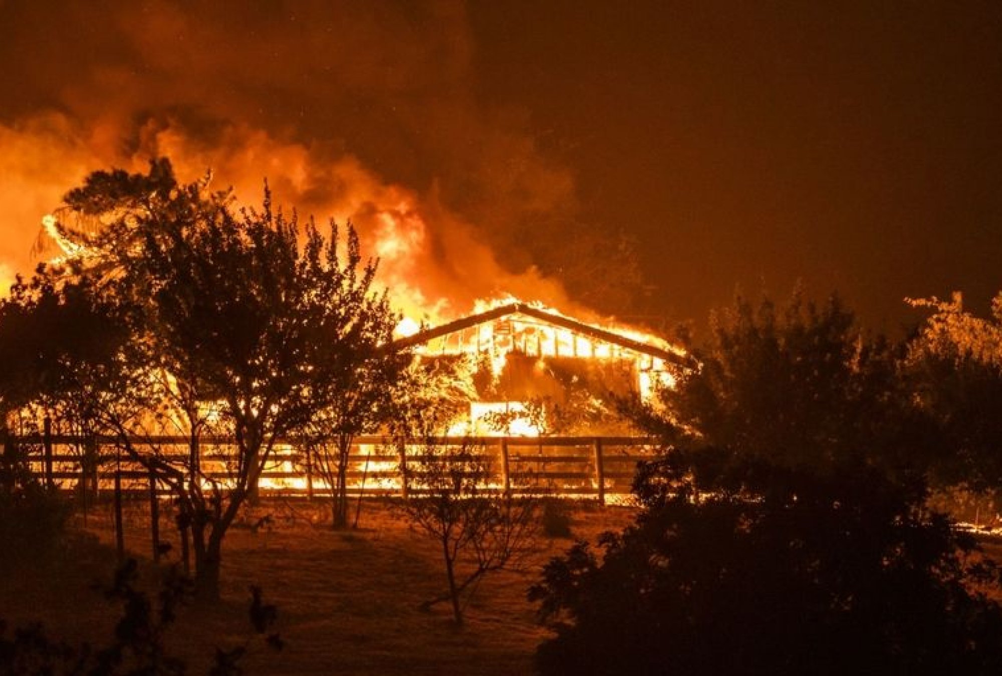 61fb4991-d52d-4f49-ae1a-d80efafcd866