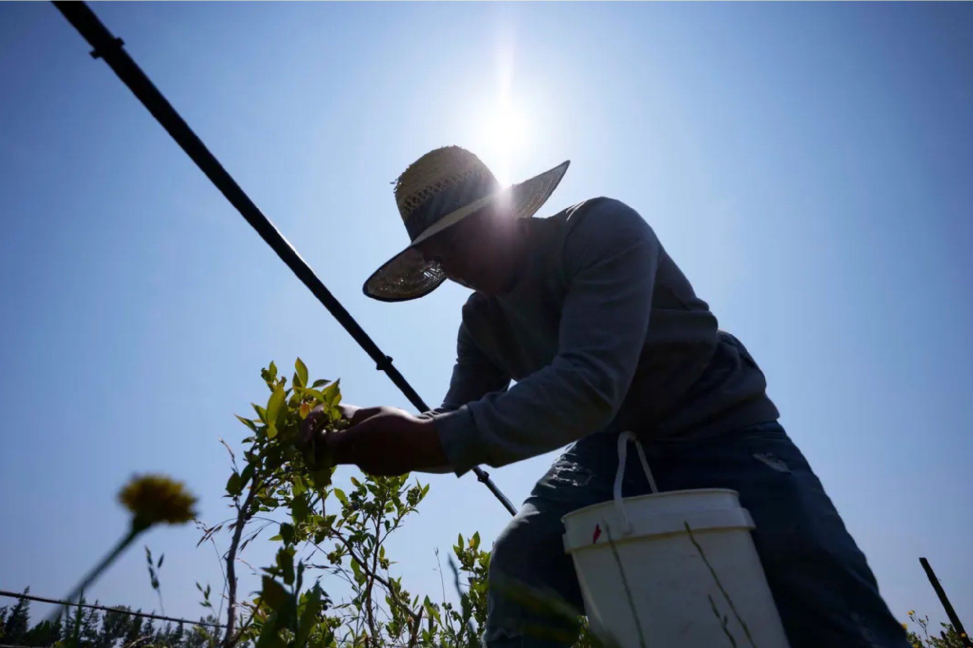 92bb384c-24b2-4e88-996e-36cbc2e2c2a9 92bb384c-24b2-4e88-996e-36cbc2e2c2a9