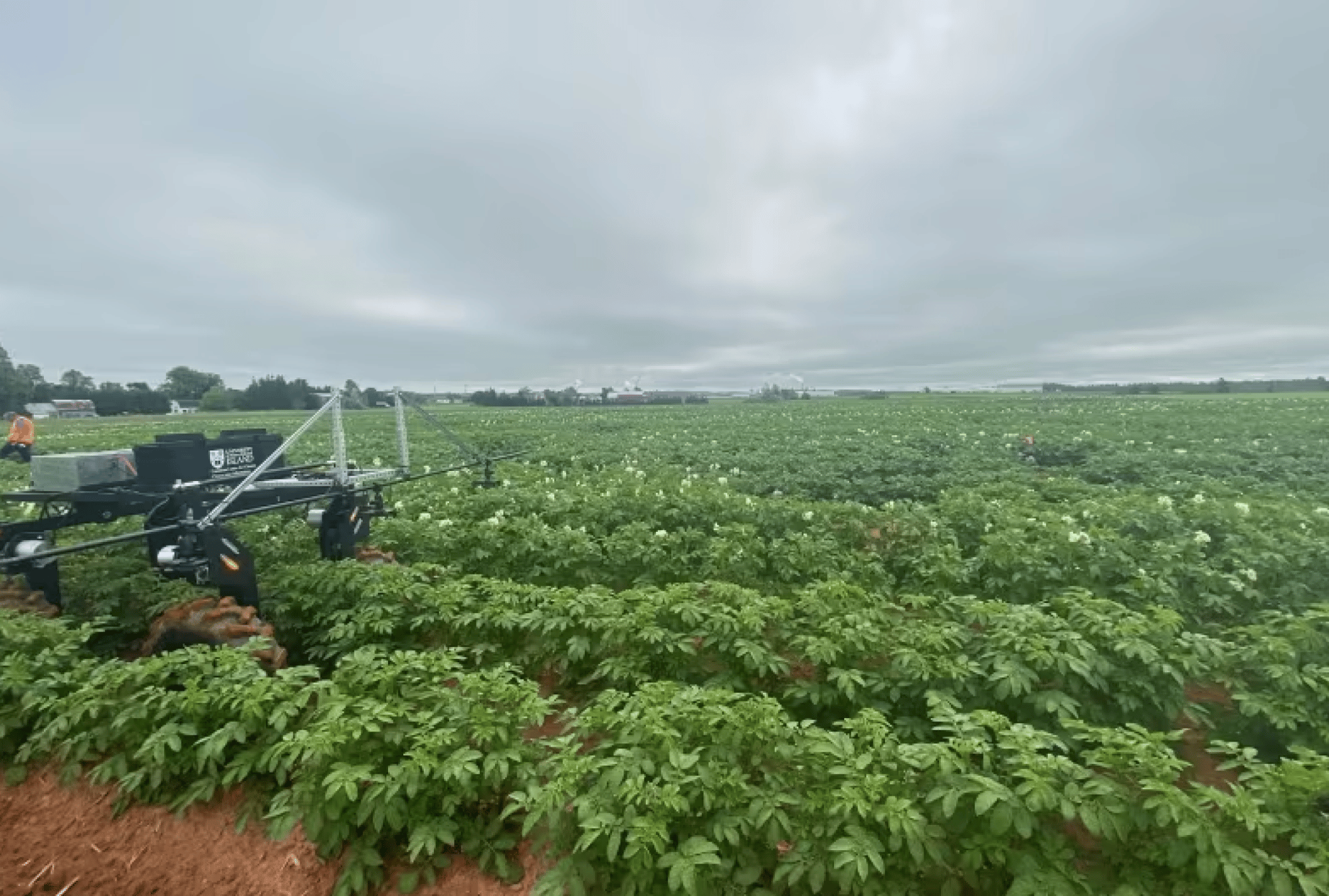 ade65fd4-3c86-483b-9d83-bbe7b139d046 ade65fd4-3c86-483b-9d83-bbe7b139d046