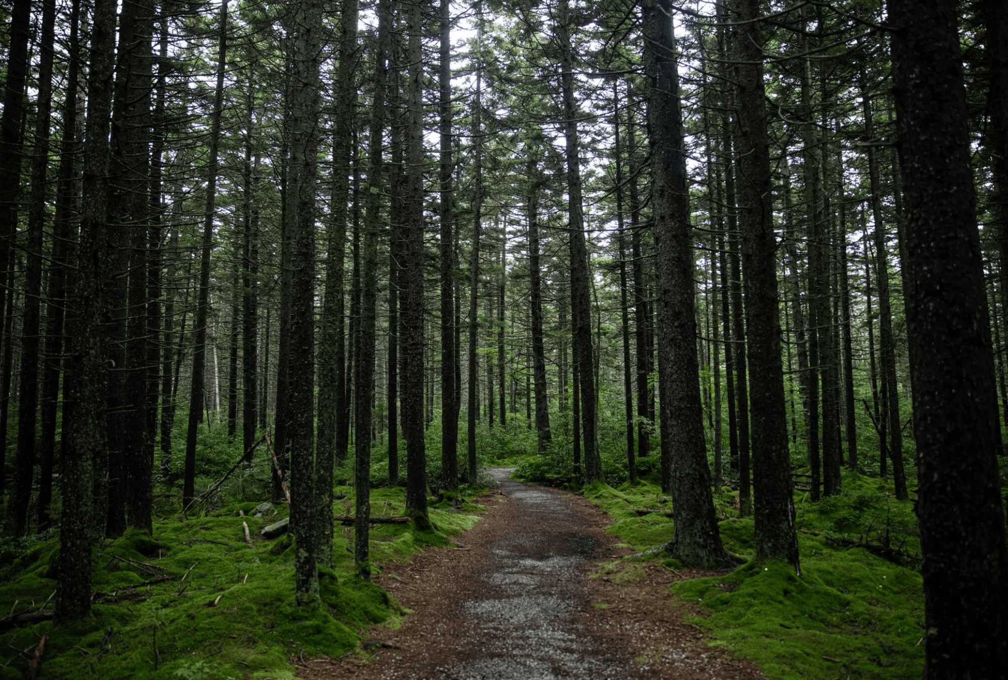 b64747b8-9348-4d11-9015-884cd8ba1aef b64747b8-9348-4d11-9015-884cd8ba1aef