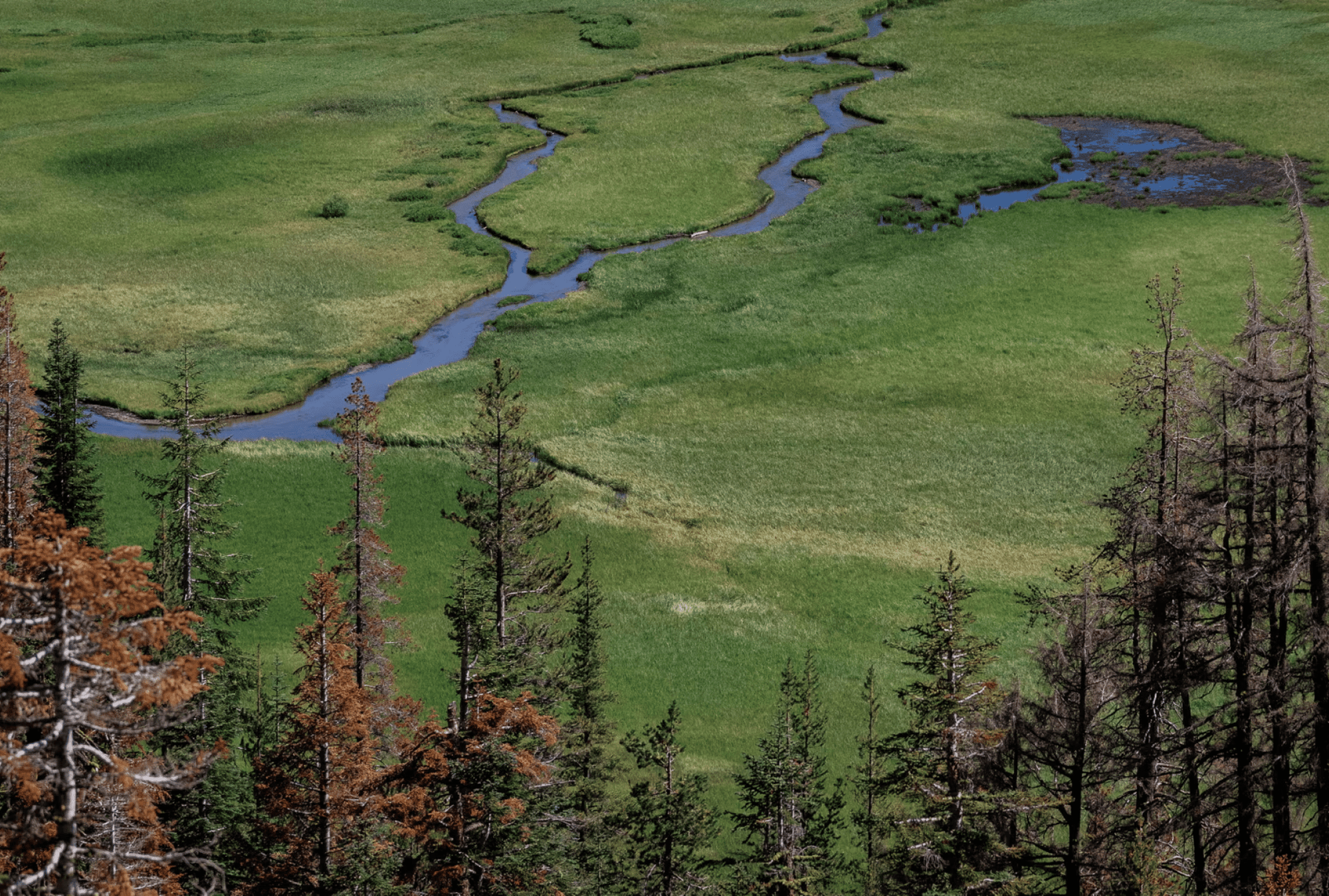 b7d1f22a-d28e-4377-91fb-355e8f4be133-1 b7d1f22a-d28e-4377-91fb-355e8f4be133-1