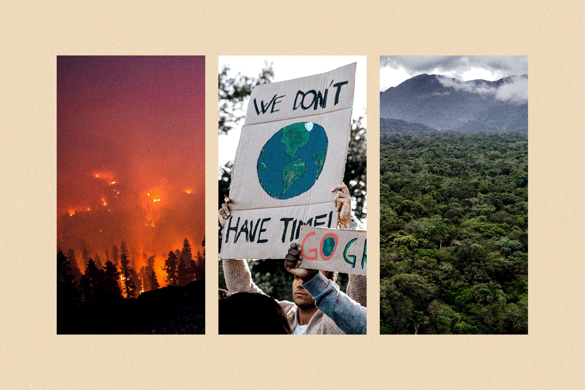 b871ee14-9ef4-4daf-866b-0156039bdbc5 b871ee14-9ef4-4daf-866b-0156039bdbc5