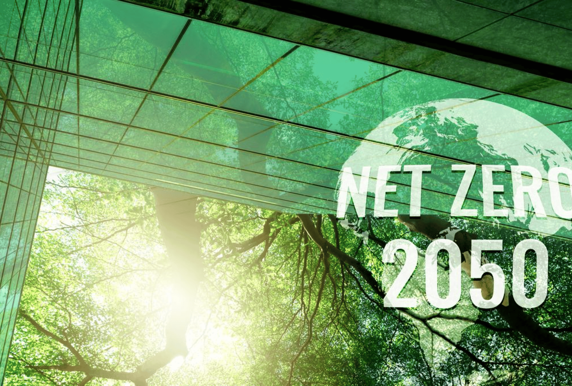 bb0b7e43-6f29-43fe-a15d-f825f6de2eb2 bb0b7e43-6f29-43fe-a15d-f825f6de2eb2