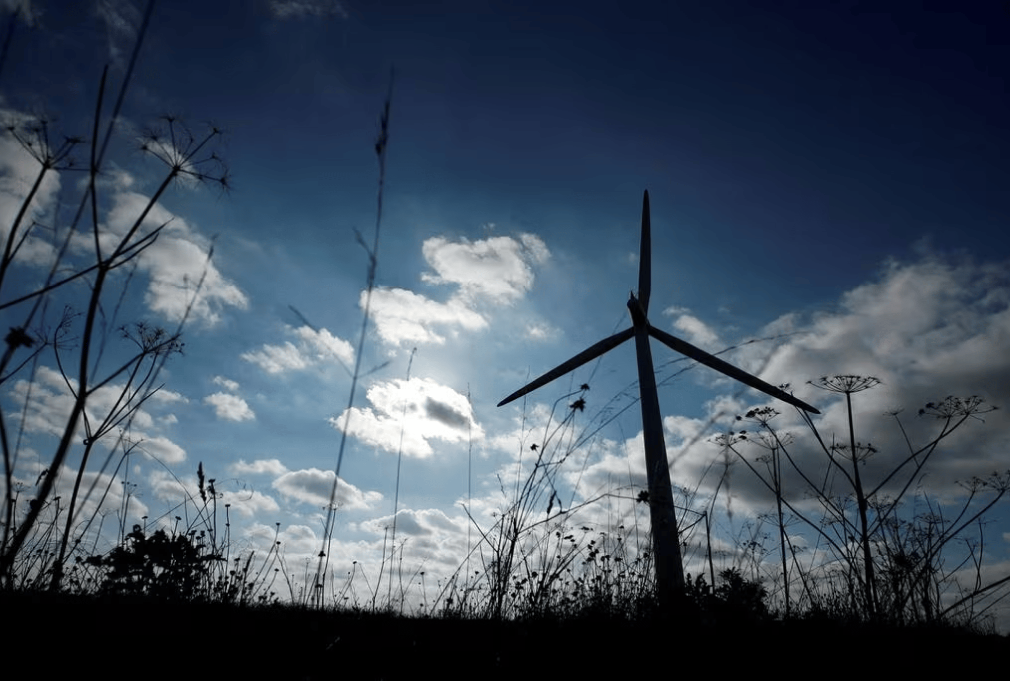 bc1c0612-ef1c-42ed-b847-562306f55c56 bc1c0612-ef1c-42ed-b847-562306f55c56