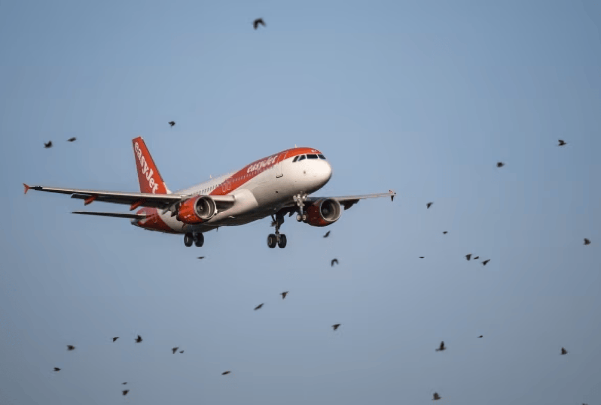 cb8a203c-b08e-47a4-9688-b408bed419a7-1 cb8a203c-b08e-47a4-9688-b408bed419a7-1