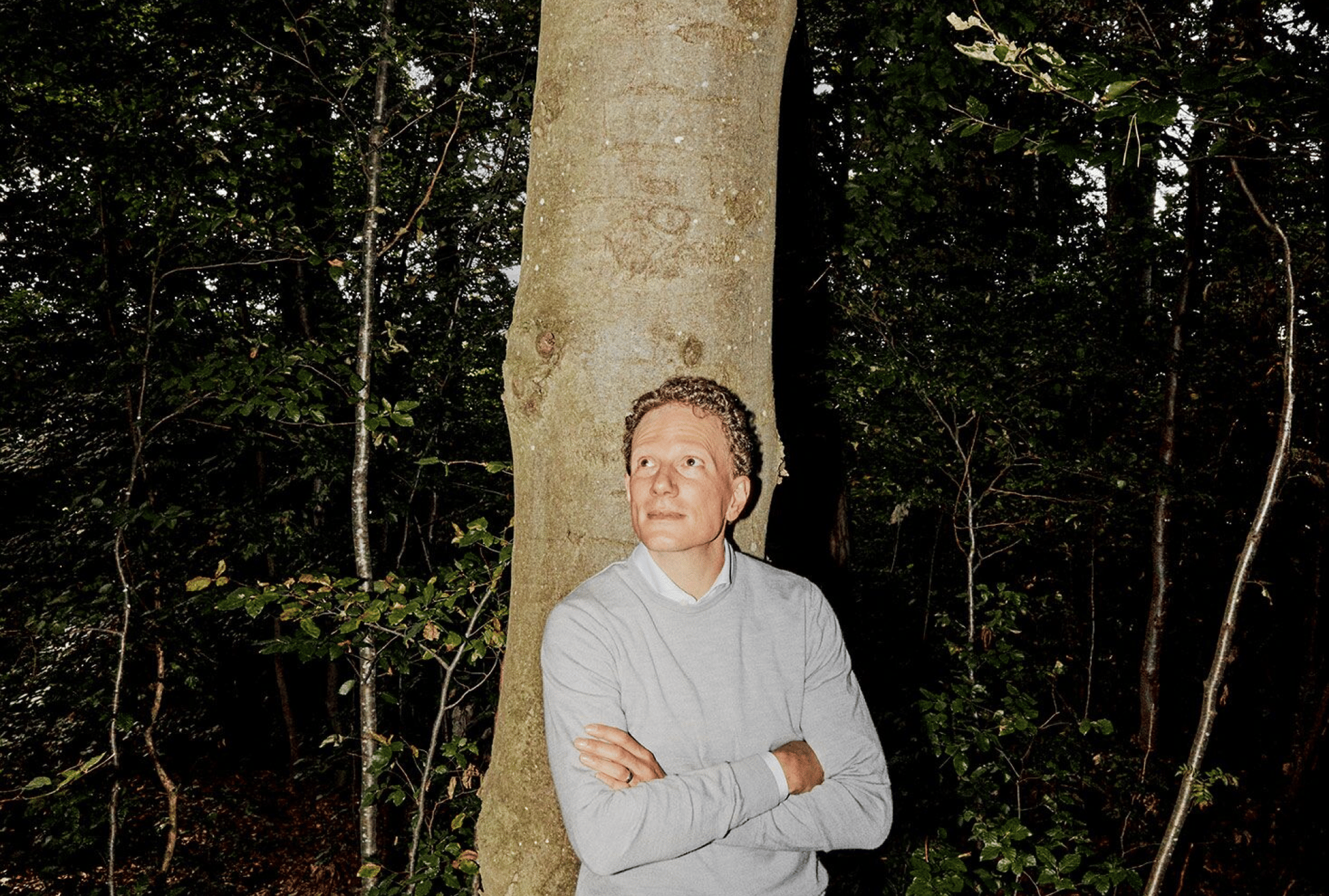 cc368b23-fe96-4335-9b53-d7481d6ba919 cc368b23-fe96-4335-9b53-d7481d6ba919